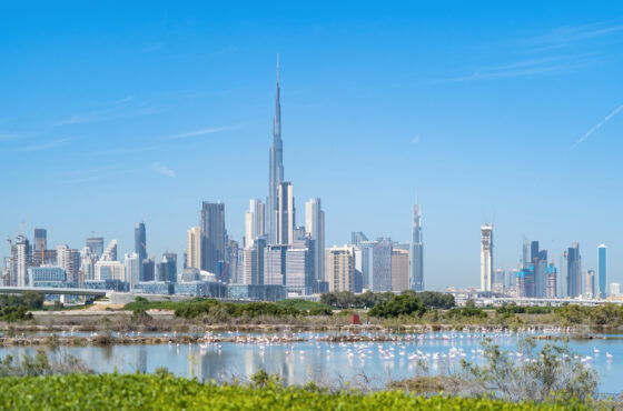 Why is Dubai So Attractive For Investors?